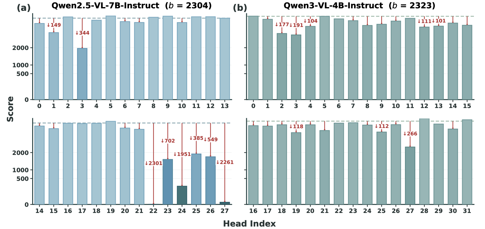 Vision-Critical Head Identification